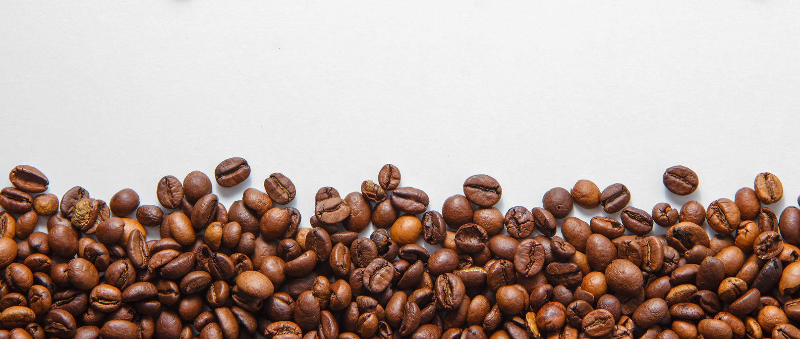coffee-beans-top-view-white-background-s