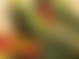 MAKE IT SNUGGLE IN THE PALM