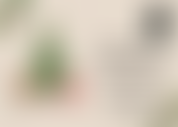 Χρόνια Πολλά!