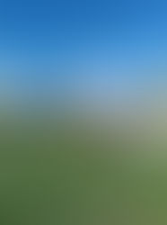 Η Ε΄ τάξη στη Ρωμαϊκή Αγορά