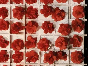 Ανακοίνωση για τον εορτασμό της επετείου για το Πολυτεχνείο