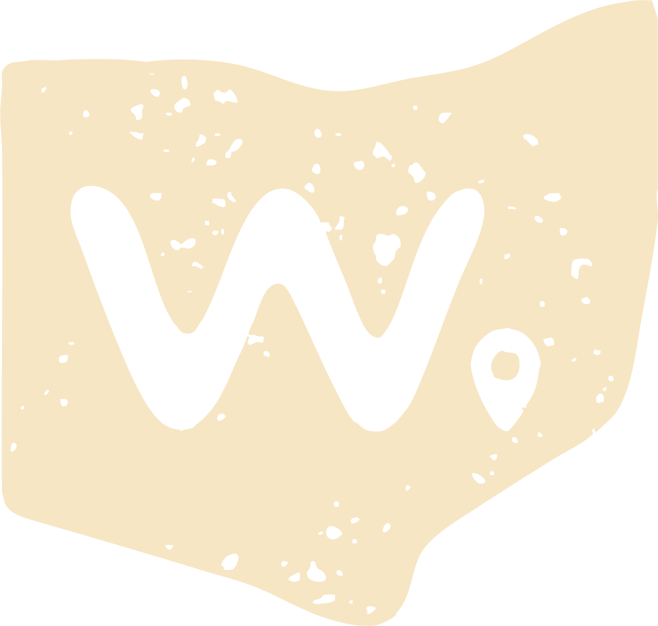 waypoint drone services