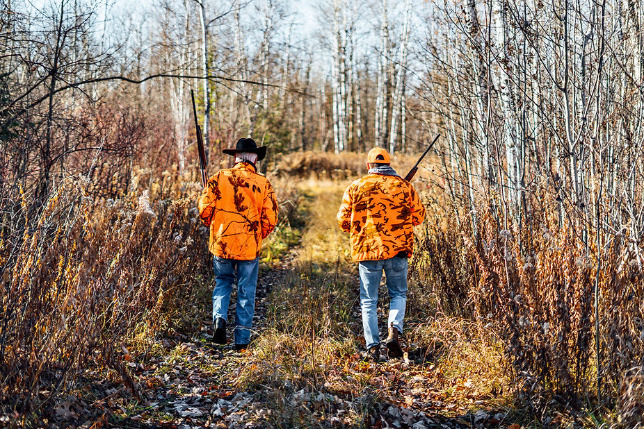 bears sony 7.jpg