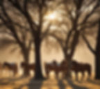 horses under the trees