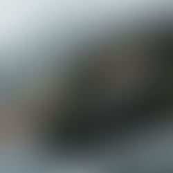 Guard Yourself: Vehicle Defense