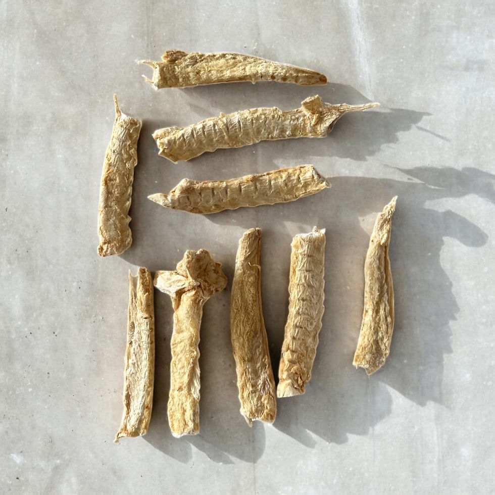 Freeze-dried Monkfish Gnaw