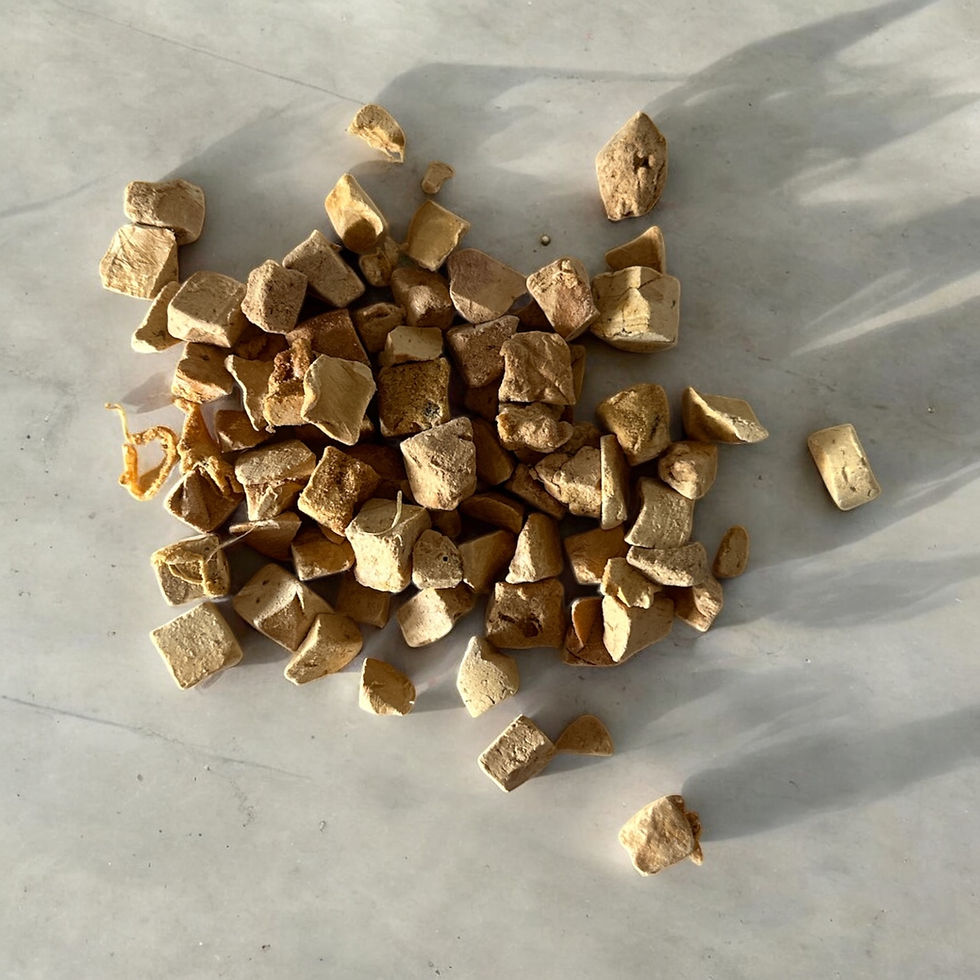 Freeze-dried Quack Liver