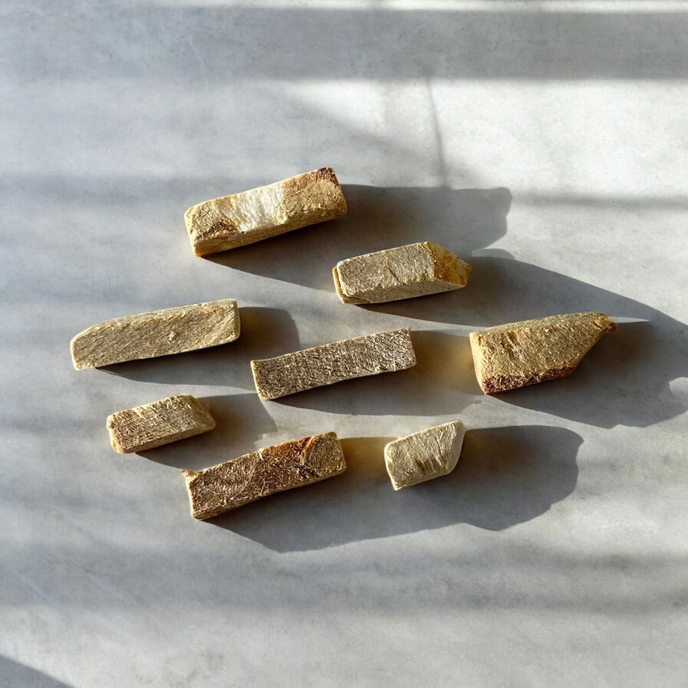 Freeze-Dried Horse Strips