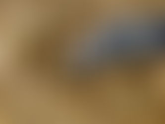 Santa Marta y Cartagena, entre las ciudades con tasas más altas de homicidio por 100 mil habitantes