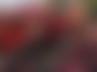 Junior garantiza tener mejor logística para próximos juegos en Barranquilla