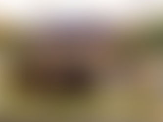 Cinco restaurantes que te recomendamos visitar durante el Carnaval