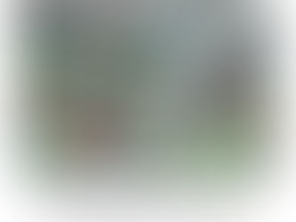 La Dimar advierte sobre la llegada de un posible ciclón al Caribe colombiano