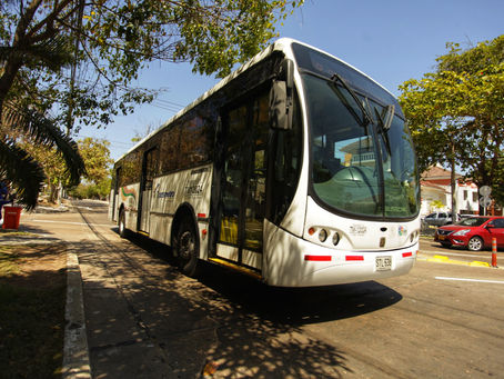 Valor de pasajes en buses de servico público y Transmetro sube $200 a partir de este miércoles
