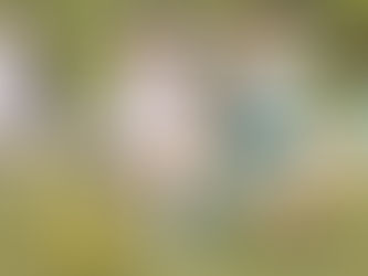 La Selección Atlántico Sub-23 debutó con empate en el Campeonato Nacional de Fútbol