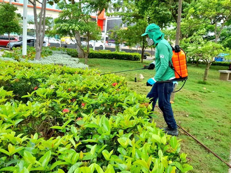 Barranquilleros intranquilos por ola de mosquitos