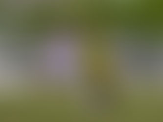 La Selección Atlántico Sub-20 jugará la fase final del Campeonato Nacional de Fútbol en Tunja