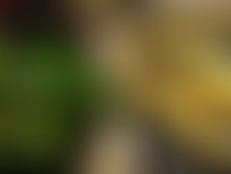 Guide to Tipping and Dining Etiquette in Portugal: Do’s and Don’ts