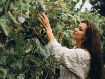 Guide to Tipping and Dining Etiquette in Europe: Do’s and Don’ts