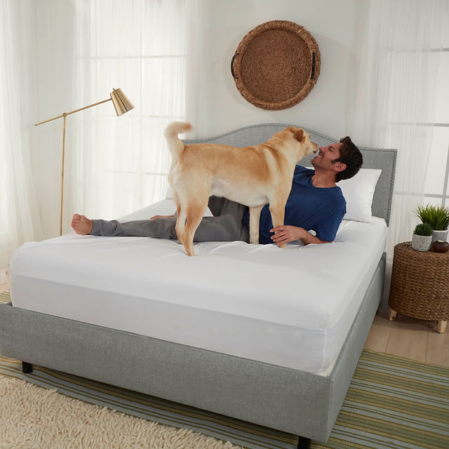 Matelas Garantie Limitee Et Entretien Sinomax Usa Matelas Garantie Limitee Et Entretien Sinomax Usa