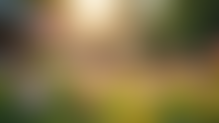 The Art of Mindful Living: Embracing the Present Moment