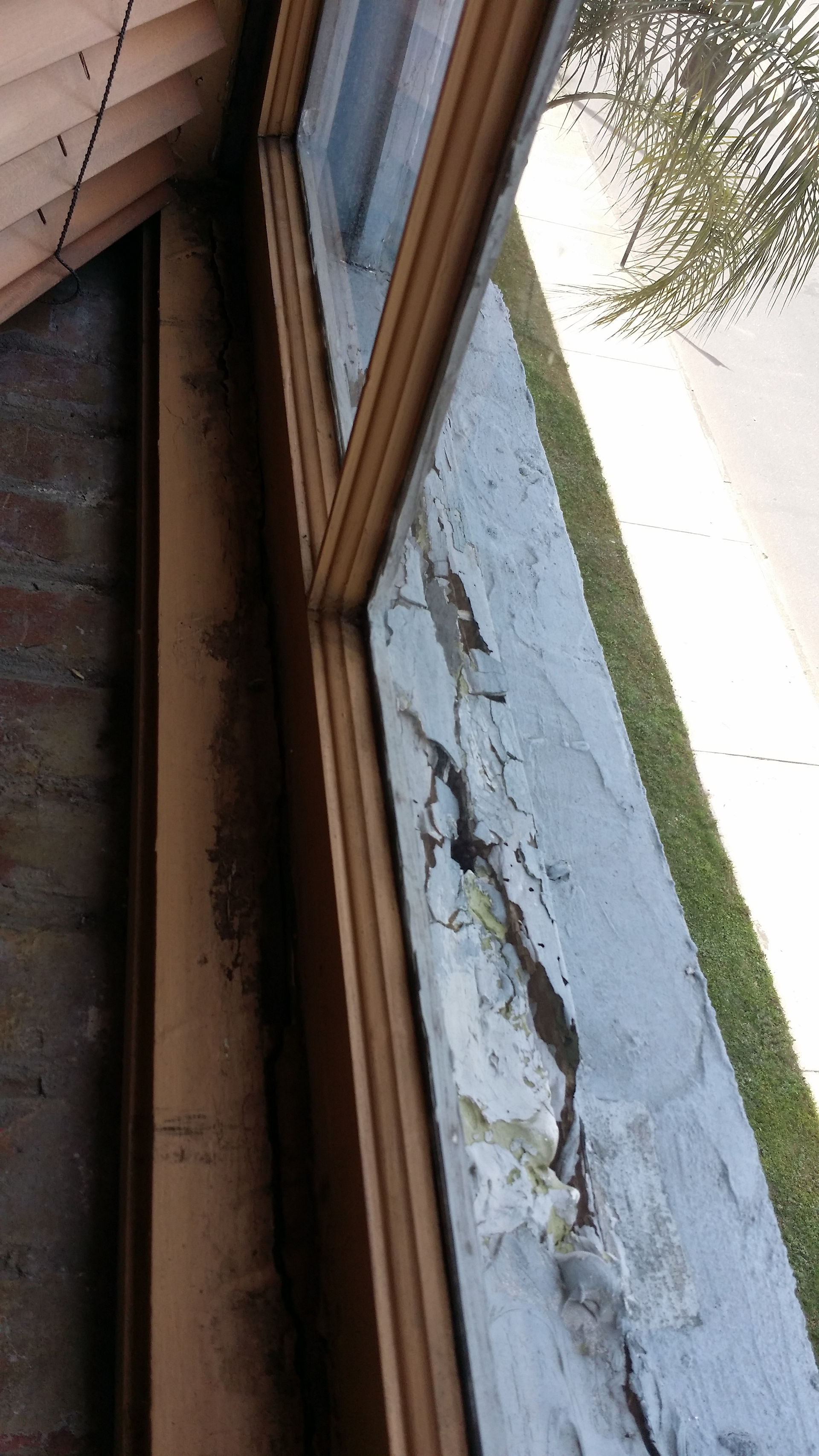 Window Sill Rot