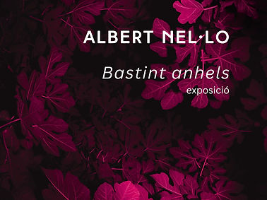 NitF_AlbertNello.jpg