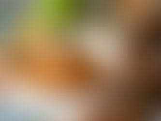 Spaghetti rossi con alici e muddrica atturrata, primo piatto siciliano con pomodoro, alici fresche e pangrattato tostato, preparato secondo la tradizione di casa.