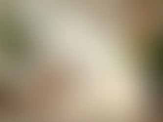 Conoce los Beneficios del Cundeamor: Tu Espacio de Bienestar Integral