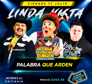 LIN VIERNES.png