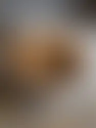 Gedeckter Apfelkuchen mit Rum-Guss und Karamell-Apfel