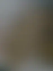 Kleine Hefekränze in leicht grüner Farbe, die an einen Adventskranz erinnern.