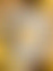 Ein Stück Zitronen-Kastenkuchen. Der Kuchen sieht saftig aus und hat eine tolle Textur.