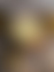 Sunshine Zebra-Cheesecake