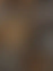 Eine klassische Apfeltarte mit hübschem Gittermuster aus Mürbeteig