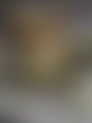Zucchini Limetten Kuchen