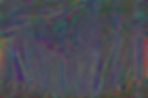 glitch-psychedelic_edited.jpg
