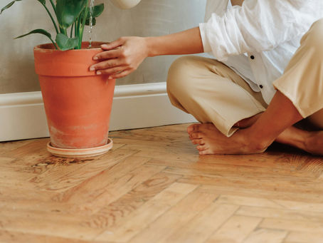 【 詩肯地板 | 讓生活與大自然共生 】