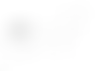 Design for Access & Mobility - Zone for Location of Toilet Paper Dispenser