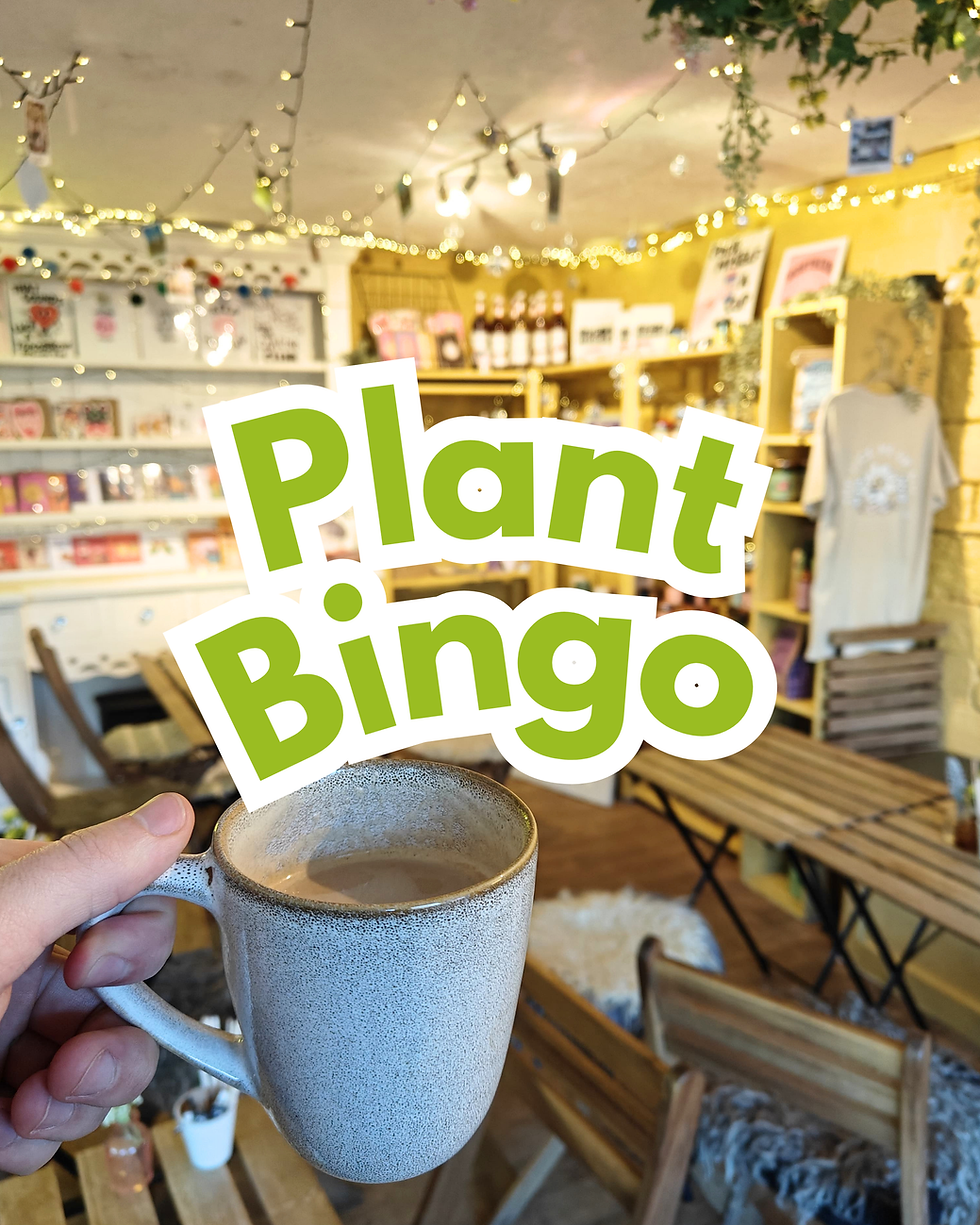 Plant Bingo @ The Pick Me Up Co.