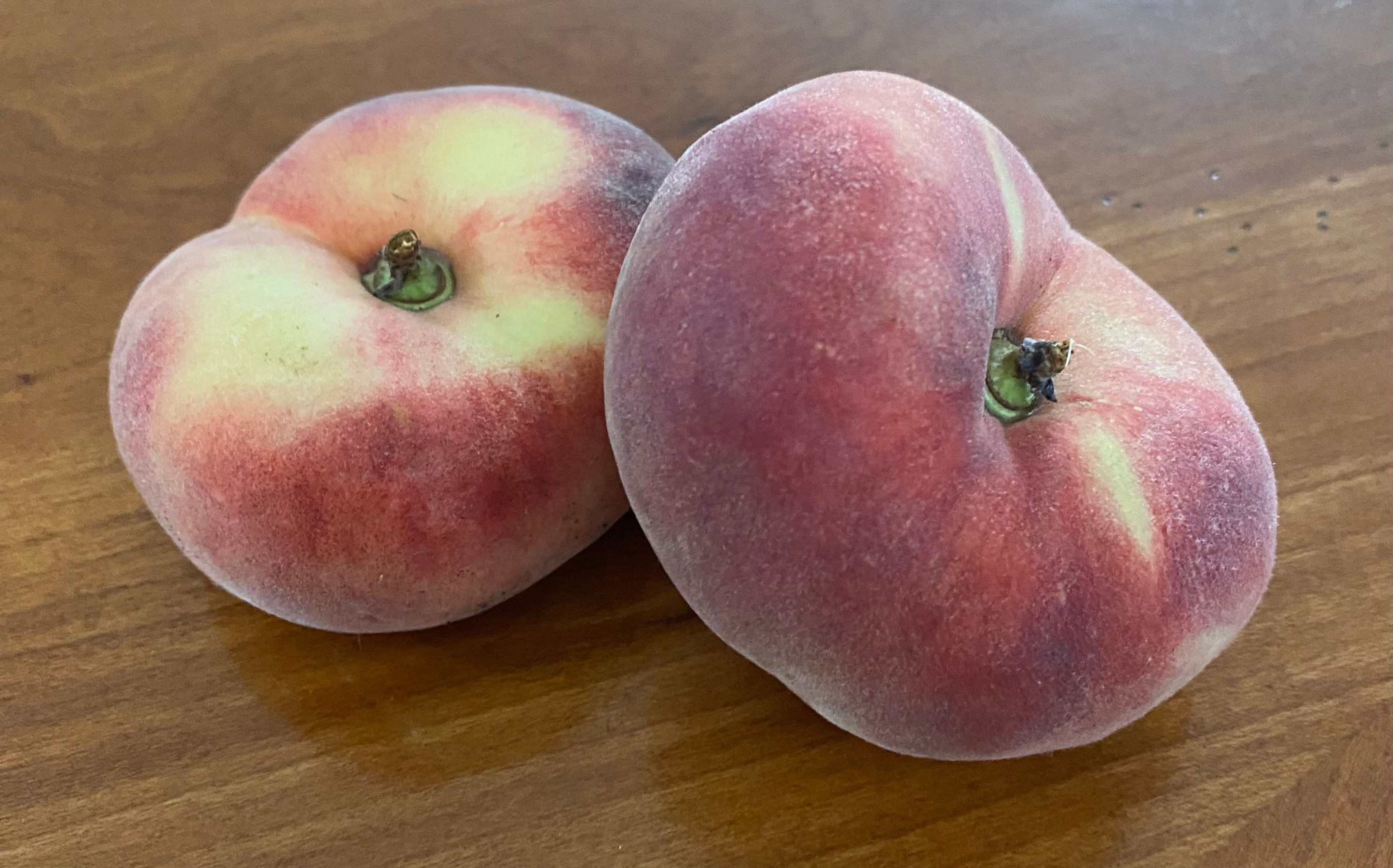 Peaches, Galaxy (donut)