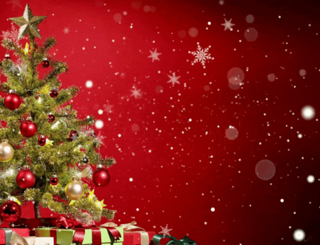 Fijne Feestdagen.gif