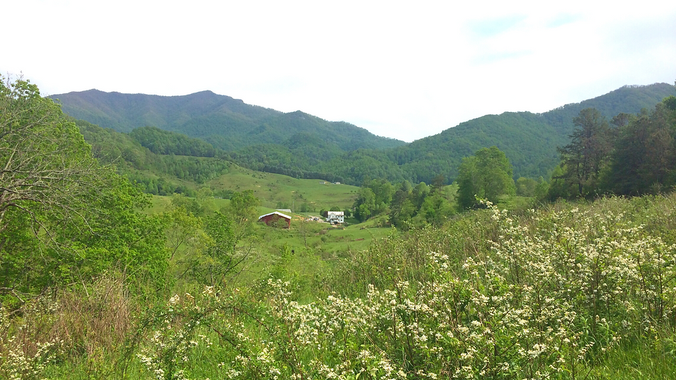 Home The Outpost at Ferguson Farms