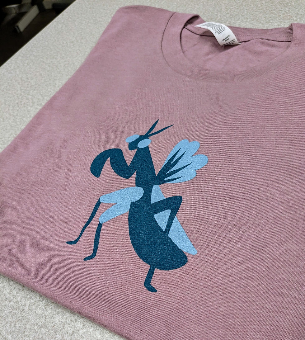 Thumbnail: Adult T-Shirts