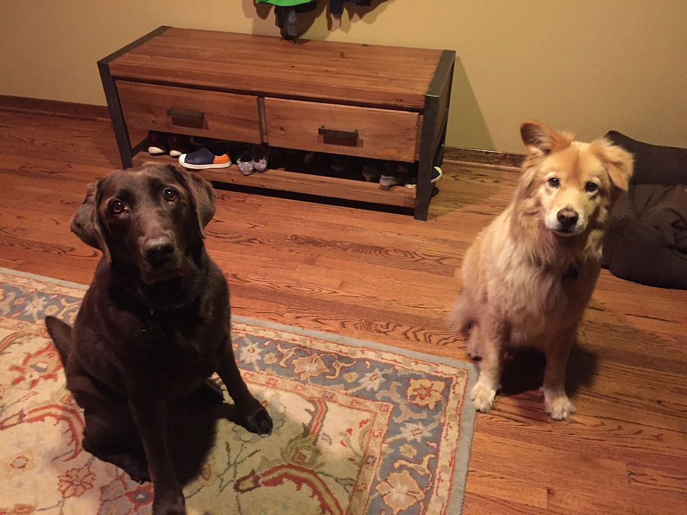 Stella & Matilda