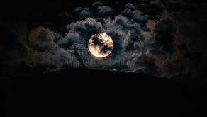 A Poetry Blog From a Muse Regular
