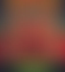 The magic of Pippin – frankly, who knew?