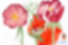 Scanned Document.jpg
