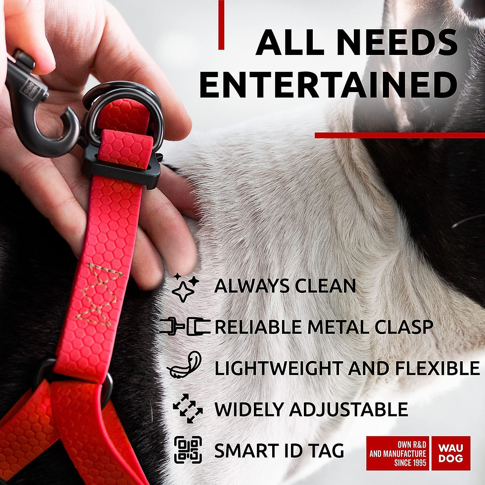 Thumbnail: Red Waterproof Dog Harness Adjustable for Small Dogs S Size 1622 inch