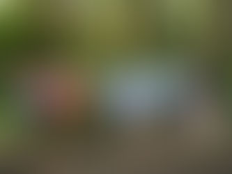 Melanie Brownsmith, A Creator with Passion