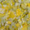 Thumbnail: Daffodil Mix